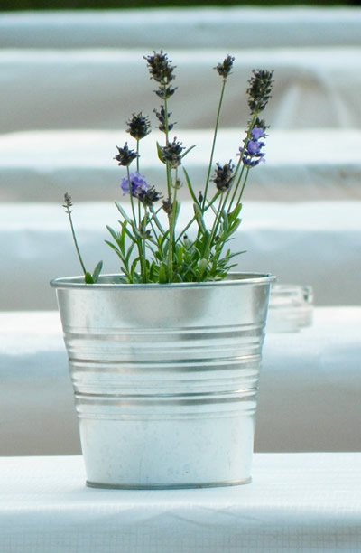 Vaso de lavanda