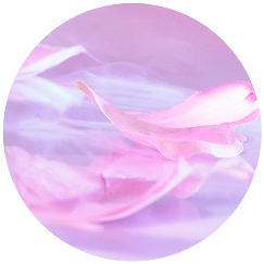 Ingredientes Perfectly Pink Yuzu