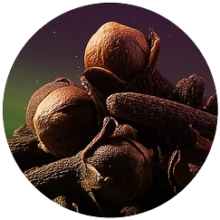 Ingredientes Palo Santo Spells