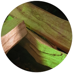 Ingredientes Palo Santo Spells